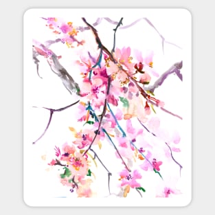 Cherry Blossom Sticker